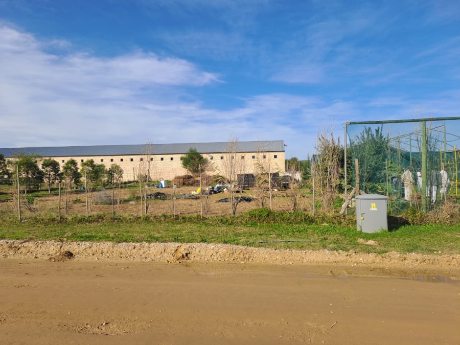 Commercial Property for Sale in Stanford Western Cape